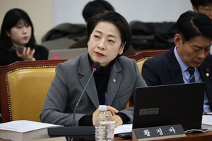 [2026 국감] SMR 건설허가는 2028년부터인데 심사체계는 2032년...규제 공... - 뉴스 썸네일 이미지